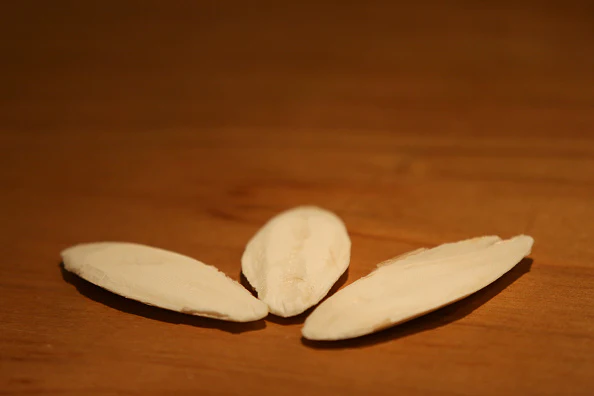 Cuttle Bone Pieces