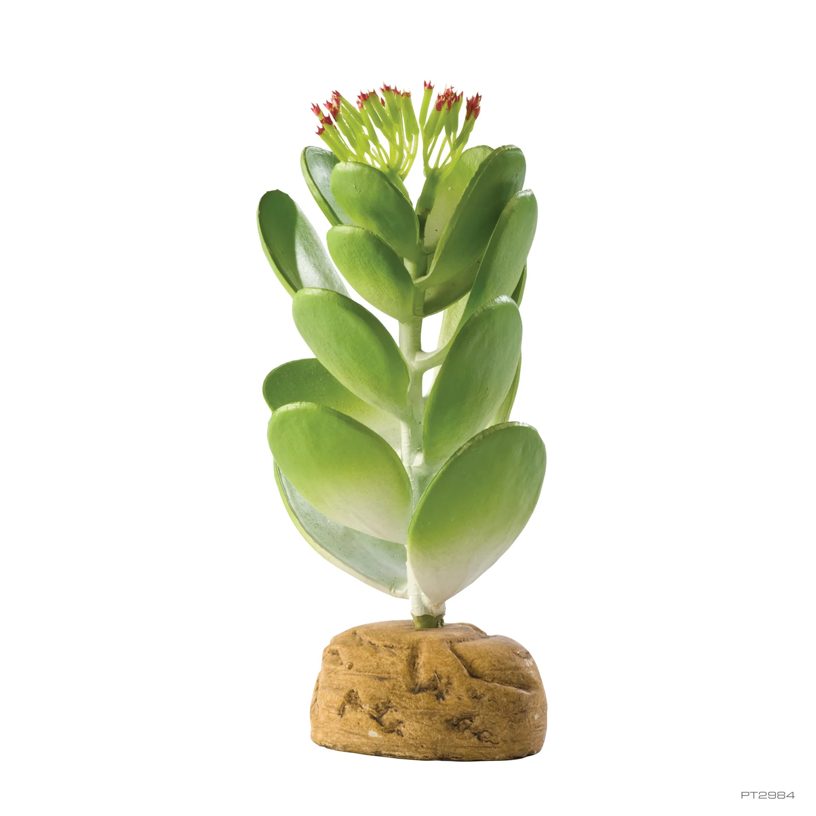 Exo Terra Standing Plants
