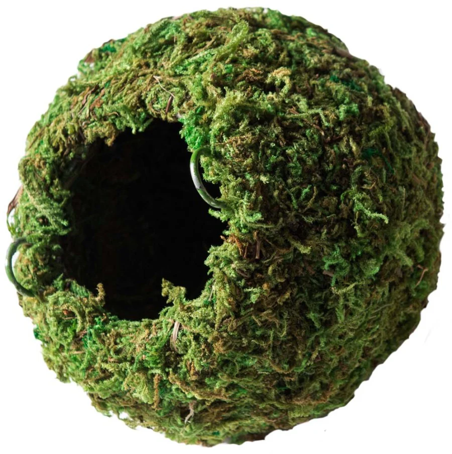 Galapagos Mossy Cave Terrarium Hideaway 4"