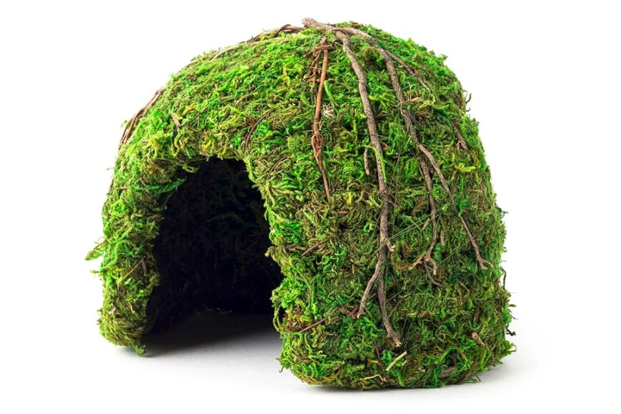 Galapagos Mossy Dome Terrarium Hideaway 6"