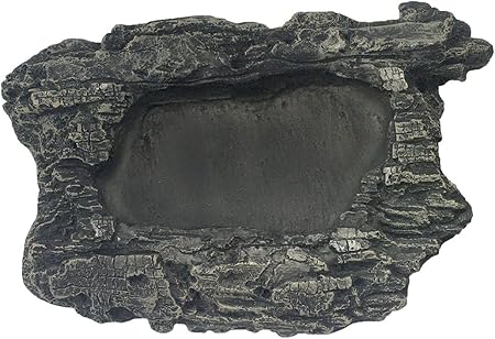Komodo Rock Bowl