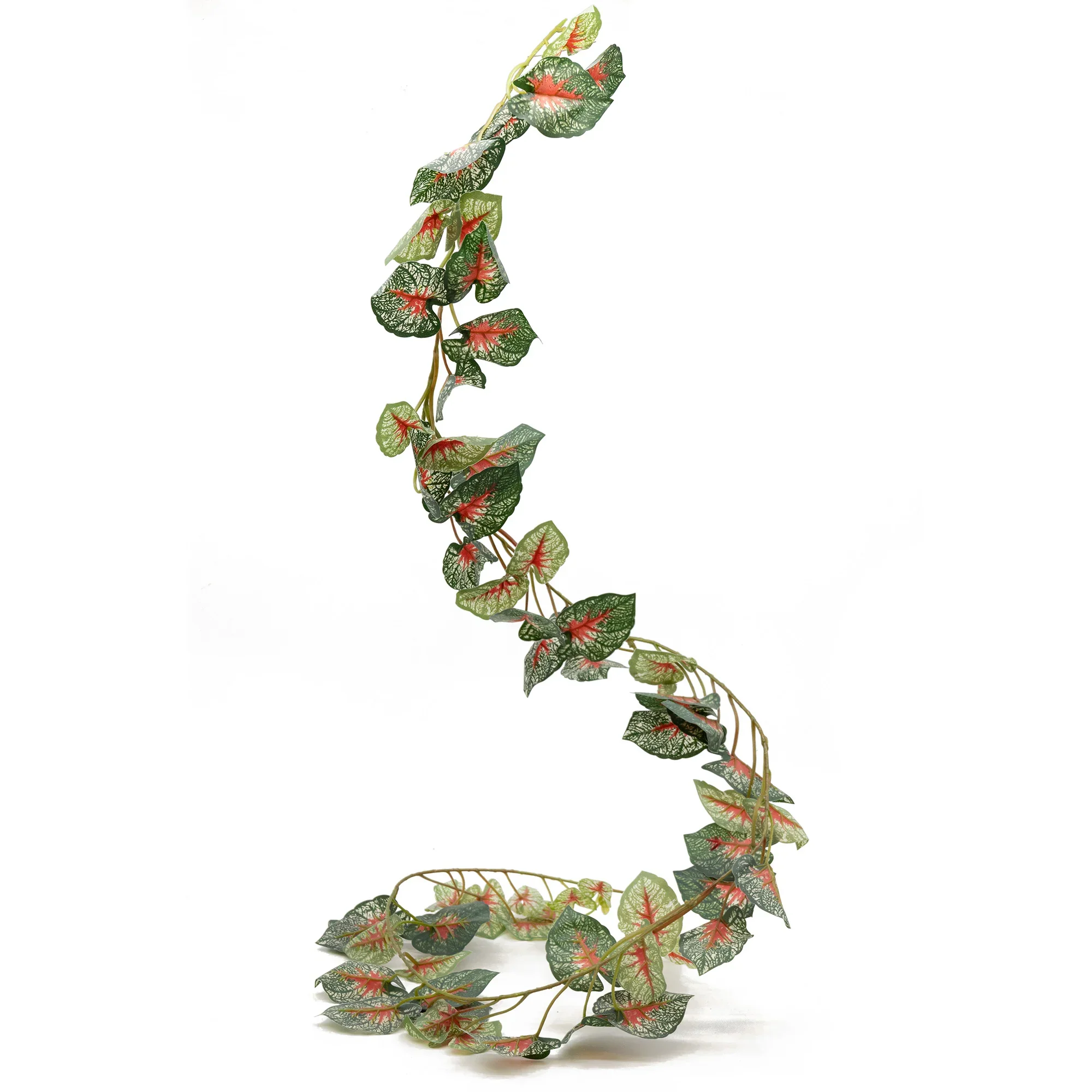 Pangea Hanging Plants - Image 11