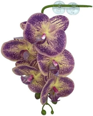 Pangea Hanging Plants - Image 2