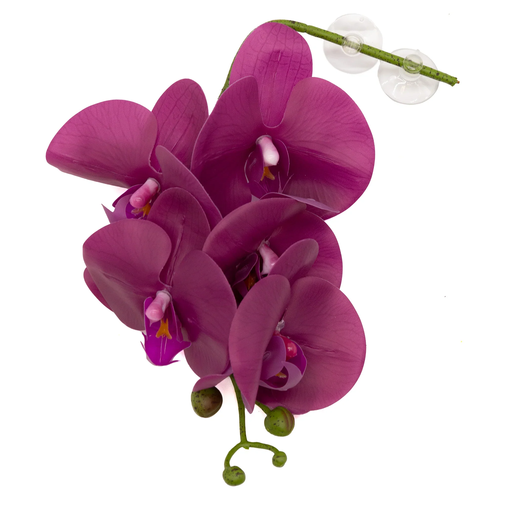 Pangea Hanging Plants - Image 3