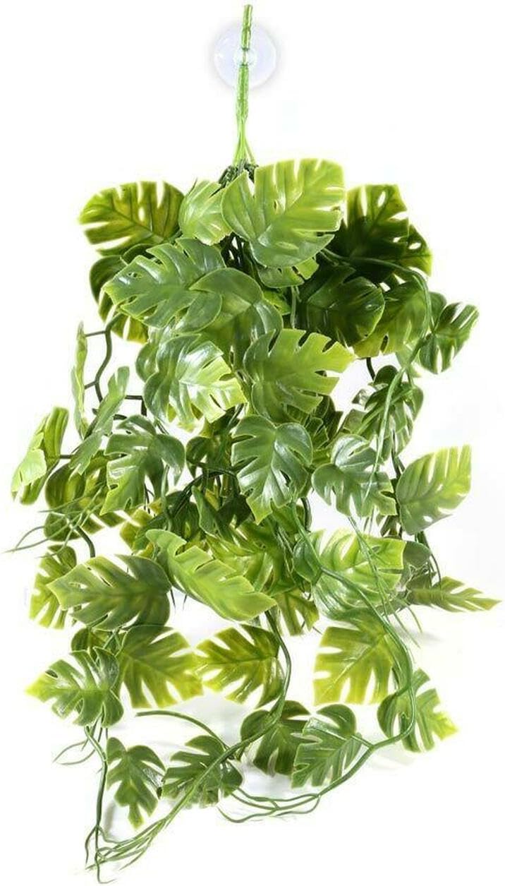 Pangea Hanging Plants - Image 5