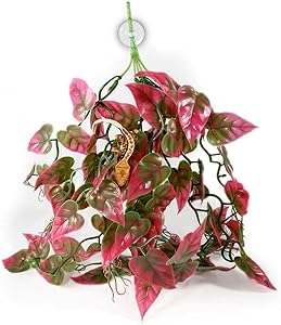 Pangea Hanging Plants - Image 6