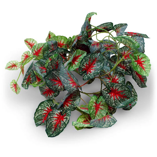 Pangea Hanging Plants - Image 8