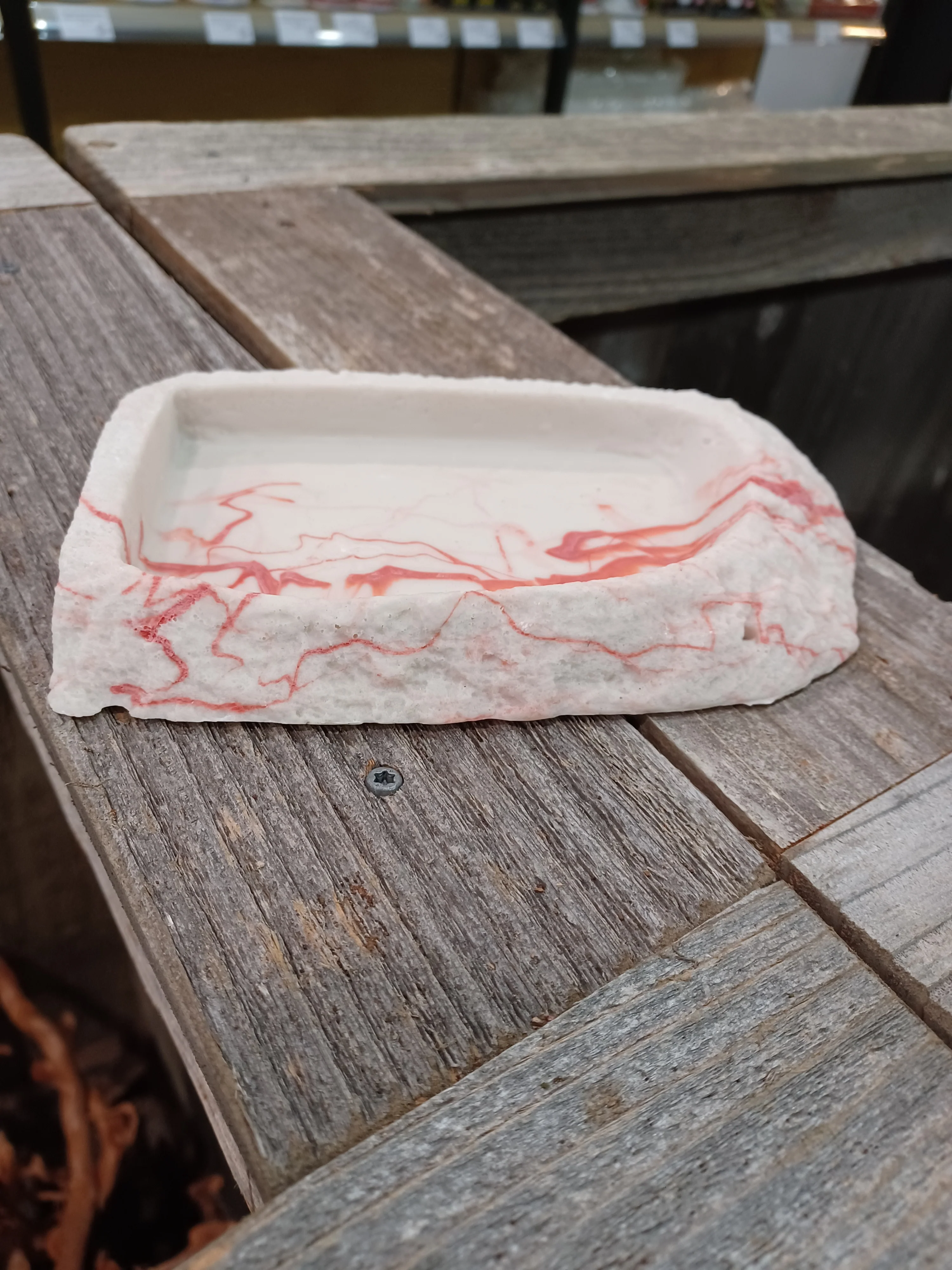 Shallow Water Dish - Image 2