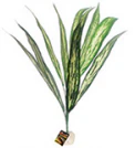 Standing Faux Plants - Image 2
